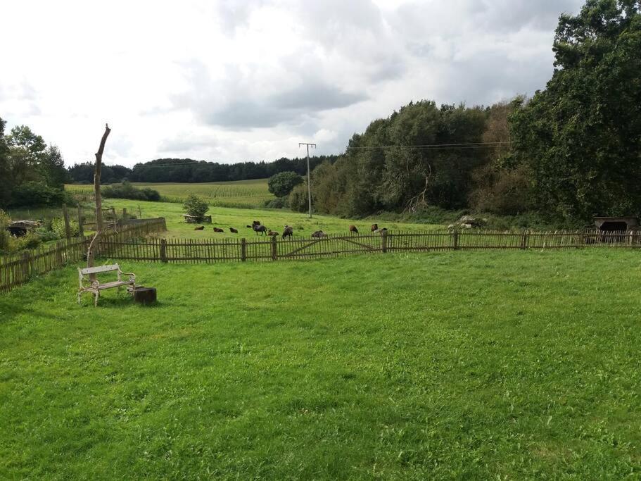 ExklusiveWohnung mitten in der Natur - Ruth's Nest Babelin Exterior foto
